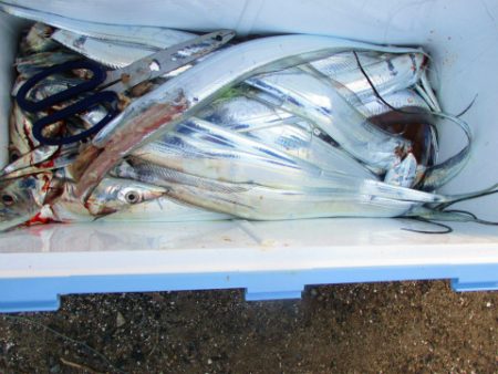 フィッシングガイド とちぎ 釣果