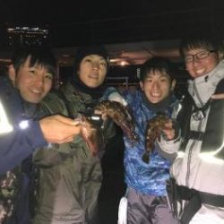 シーマジカル 釣果