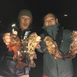 シーマジカル 釣果