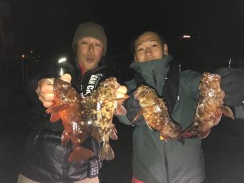 シーマジカル 釣果