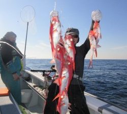 太郎丸 釣果