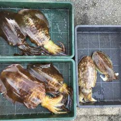 三吉丸 釣果