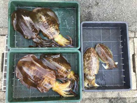 三吉丸 釣果