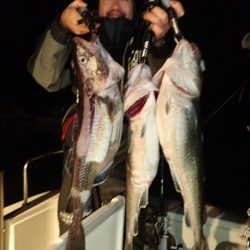 Aquanaut(アクアノート) 釣果