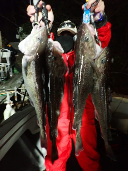 Aquanaut(アクアノート) 釣果