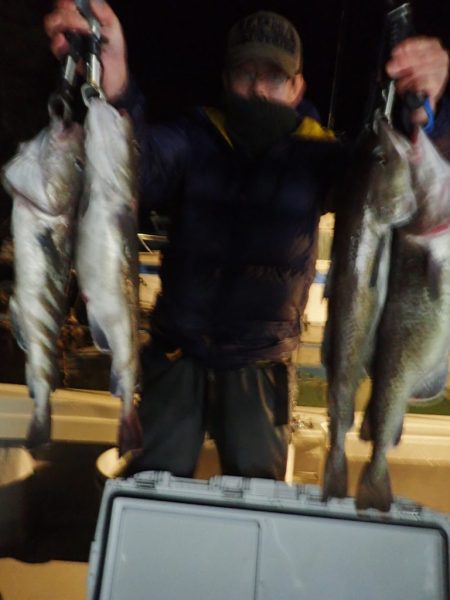 Aquanaut(アクアノート) 釣果