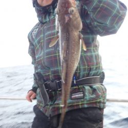 Aquanaut（アクアノート） 釣果