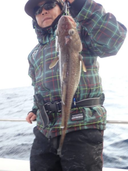 Aquanaut（アクアノート） 釣果