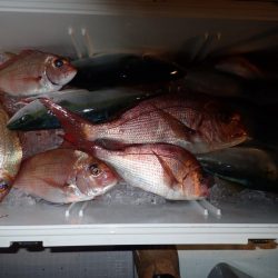 Aquanaut(アクアノート) 釣果