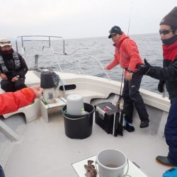 Aquanaut（アクアノート） 釣果