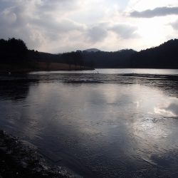 志高湖フィッシング 釣果