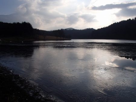 志高湖フィッシング 釣果