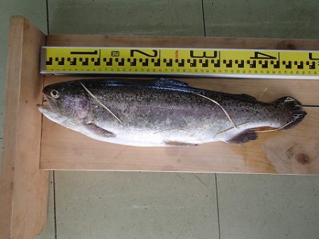 志高湖フィッシング 釣果