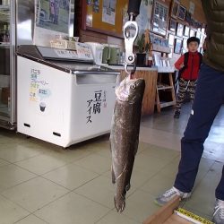 志高湖フィッシング 釣果