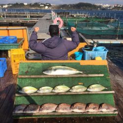 みうら海王 釣果
