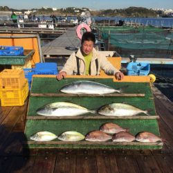 みうら海王 釣果