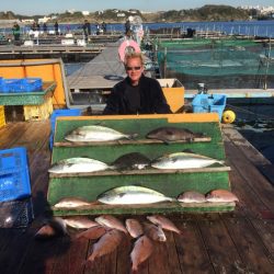 みうら海王 釣果