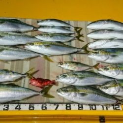 火遠理丸（ほおりまる） 釣果