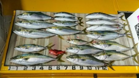 火遠理丸（ほおりまる） 釣果