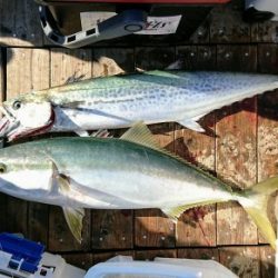 火遠理丸（ほおりまる） 釣果