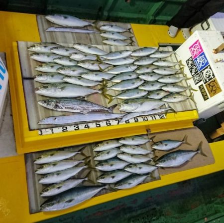 火遠理丸（ほおりまる） 釣果