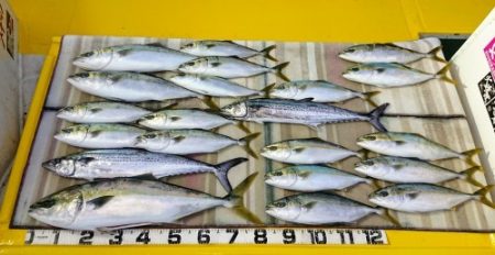 火遠理丸（ほおりまる） 釣果