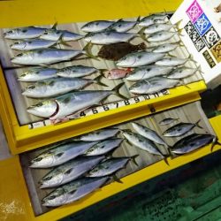 火遠理丸（ほおりまる） 釣果