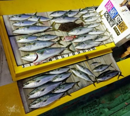 火遠理丸（ほおりまる） 釣果