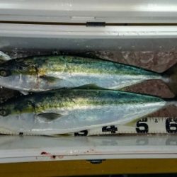 火遠理丸（ほおりまる） 釣果