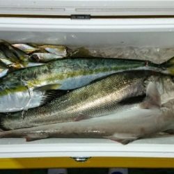 火遠理丸（ほおりまる） 釣果