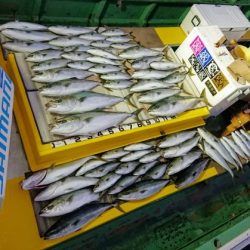 火遠理丸（ほおりまる） 釣果