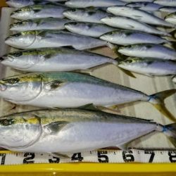 火遠理丸（ほおりまる） 釣果