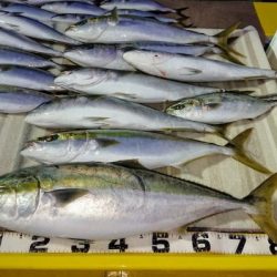 火遠理丸（ほおりまる） 釣果