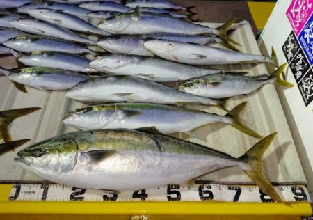 火遠理丸（ほおりまる） 釣果