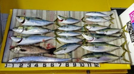 火遠理丸（ほおりまる） 釣果