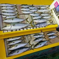 火遠理丸（ほおりまる） 釣果