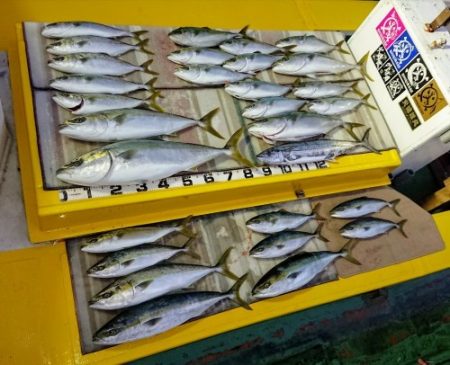 火遠理丸（ほおりまる） 釣果