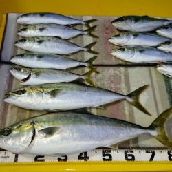 火遠理丸（ほおりまる） 釣果