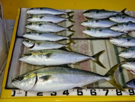 火遠理丸（ほおりまる） 釣果