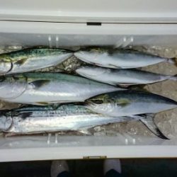 火遠理丸（ほおりまる） 釣果