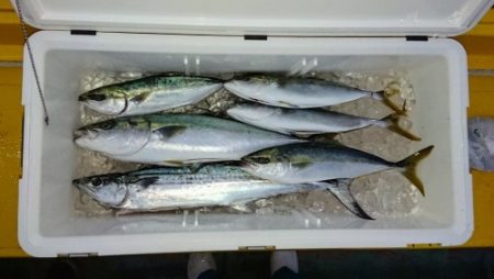 火遠理丸（ほおりまる） 釣果