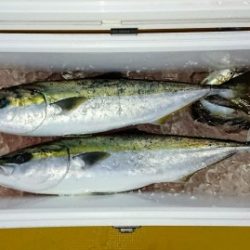 火遠理丸（ほおりまる） 釣果