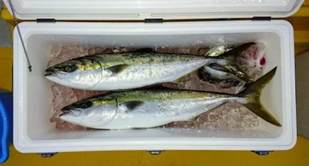 火遠理丸（ほおりまる） 釣果