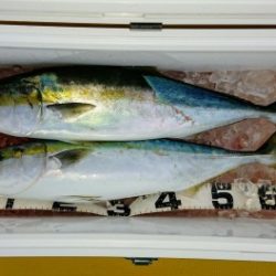 火遠理丸（ほおりまる） 釣果