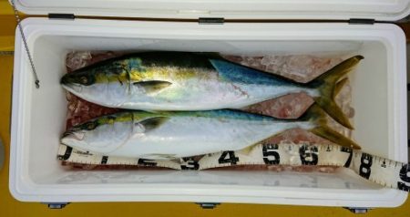 火遠理丸（ほおりまる） 釣果