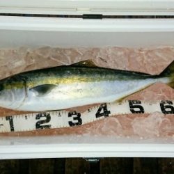 火遠理丸（ほおりまる） 釣果