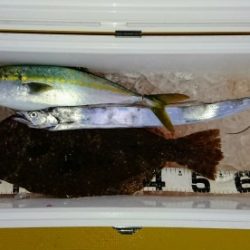 火遠理丸（ほおりまる） 釣果