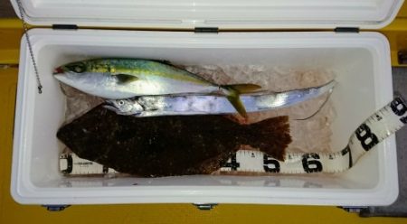 火遠理丸（ほおりまる） 釣果