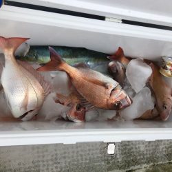 龍宮丸 釣果