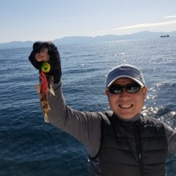 遊漁船 ニライカナイ 釣果